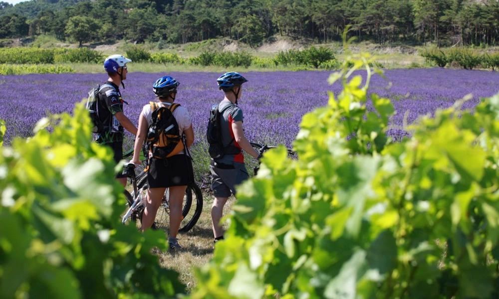 Lodges En Provence - Ecogites & Restaurant Insolites Richerenches Ngoại thất bức ảnh