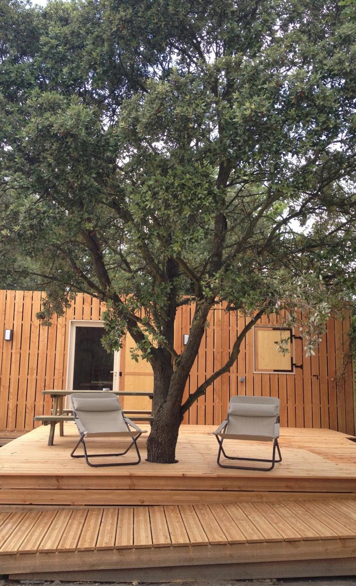 Lodges En Provence - Ecogites & Restaurant Insolites Richerenches Phòng bức ảnh